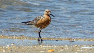 IMIP2414REKN0800WatersEdge