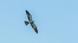 IMIP5570MIKI0707HighOverhead