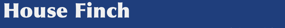 m1