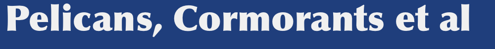 m1