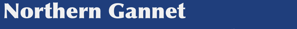 m1
