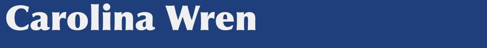 m1